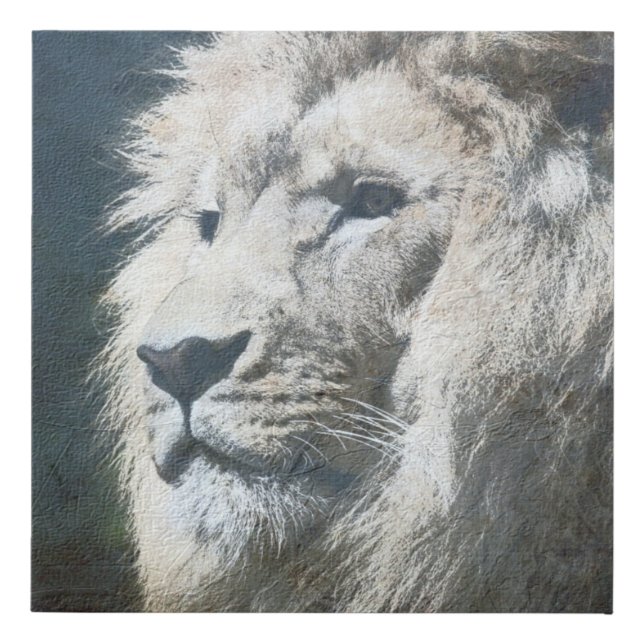 Trendy Lion Template Nature Animal Photo The King Faux Canvas Print (Front)
