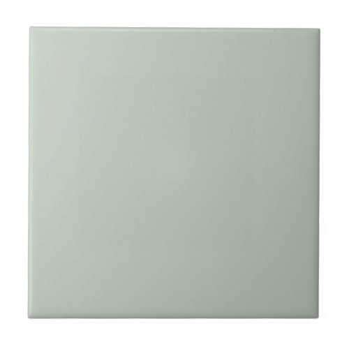Trendy _ Muted Green_Gray Ceramic Tile