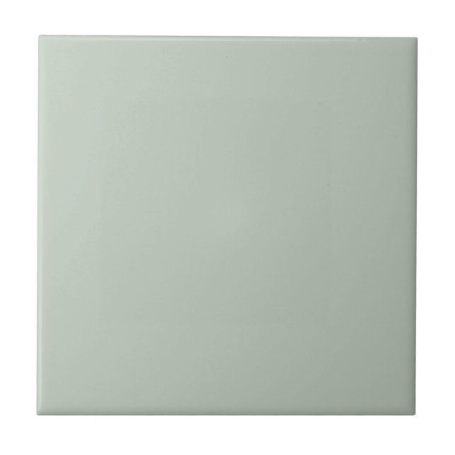 Trendy - Muted Green-Gray Ceramic Tile (Front)