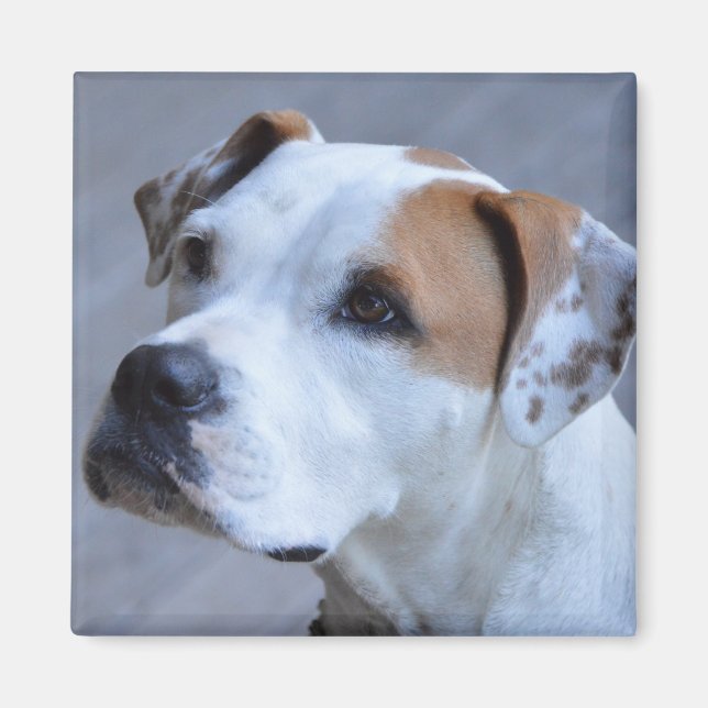 Trendy Personalized Pet Photo Magnet (Front)