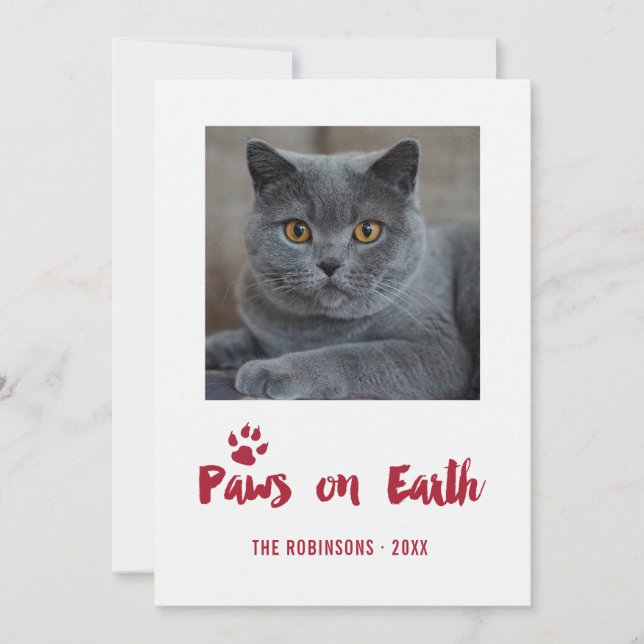 Trendy Pet Christmas Photo Holiday Card (Front)