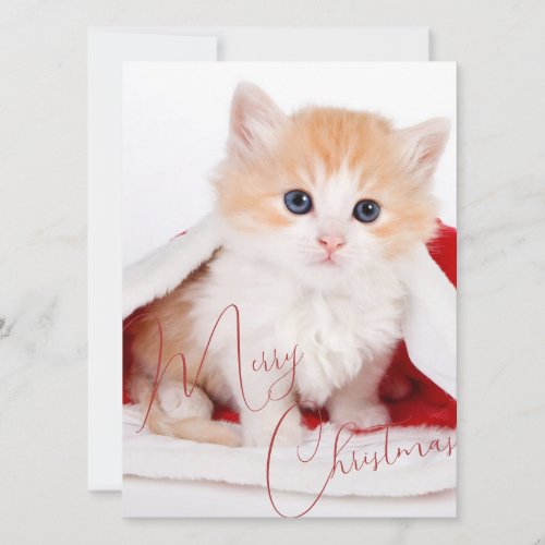 Trendy Pet Lovers Merry Christmas Holiday Card