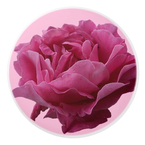 Trendy pink rose ceramic cute boho floral white  c ceramic knob