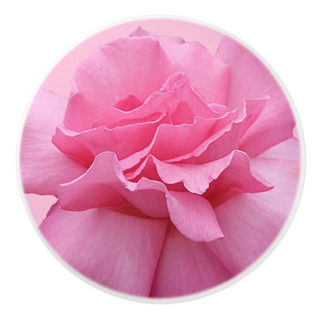 Trendy pink rose ceramic cute boho floral white  knob (Front)