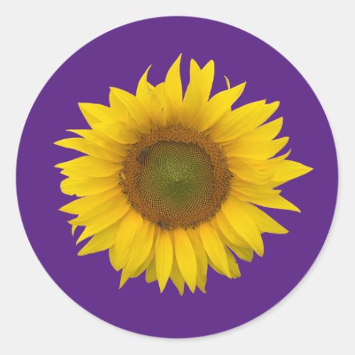  Trendy Sunflower Cute Floral Purple Classic Round Sticker