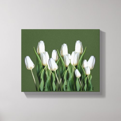 Trendy white Dutch tulips in cool green modern  Canvas Print