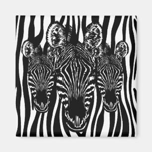 Trendy Zebra Herd on Zebra Print Magnet