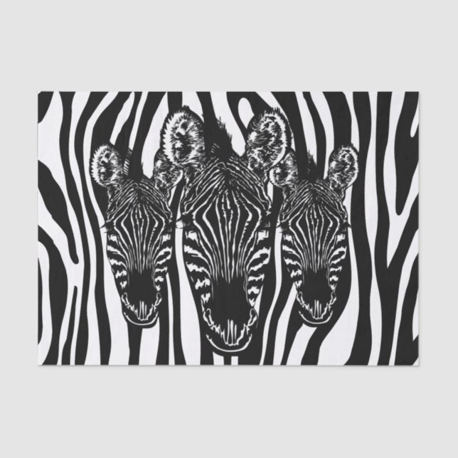Trendy Zebra  Herd Tissue Paper (Front)