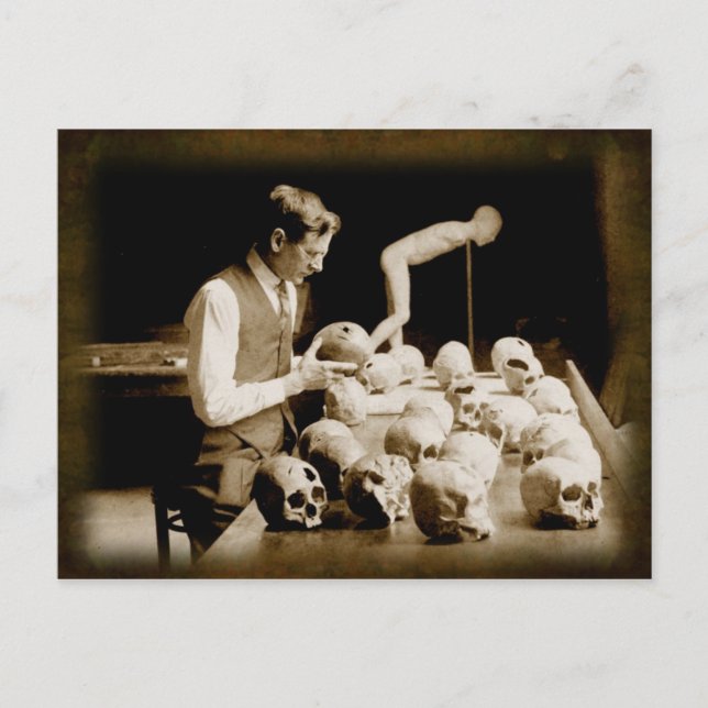 Trephined human skulls postcard (Front)