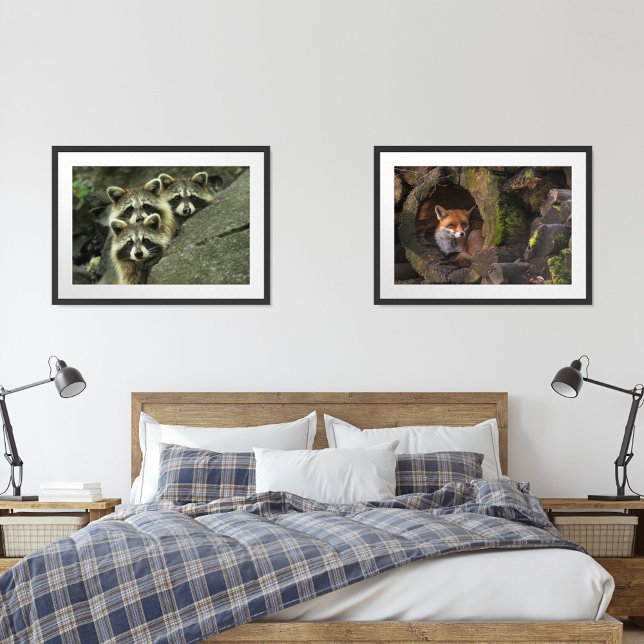 Tres banditos and fox cees wall art sets (Creator Uploaded)
