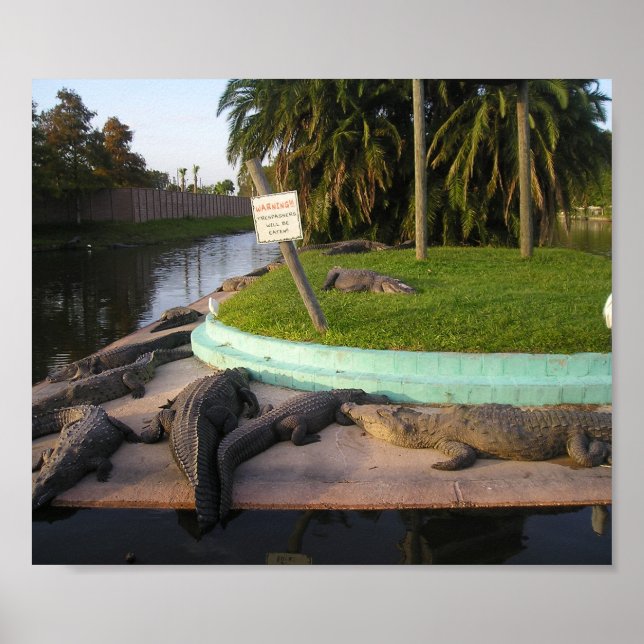 Trespassers Will Be Eaten! Poster (Front)