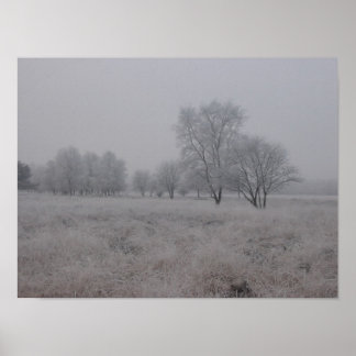 Tress in Field in Winter Poster