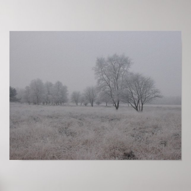 Tress in Field in Winter Poster (Front)
