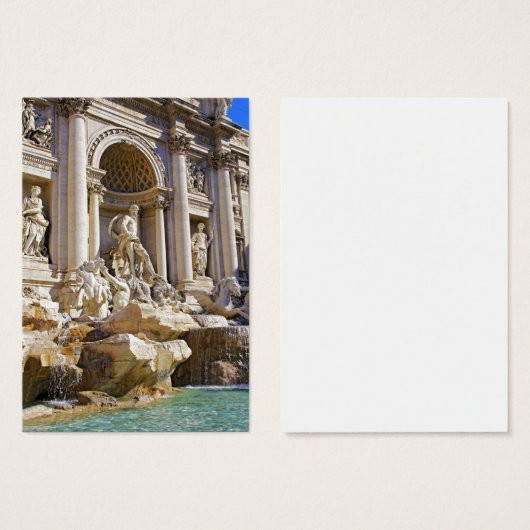 Trevi fountain (Front & Back)