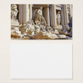 Trevi fountain (Front & Back)