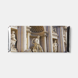 Trevi fountain hershey bar favors