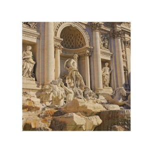 Trevi Fountain Rome Photography Wood Wall Art