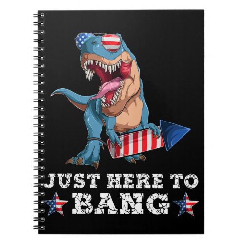 Trex 4th of July Dinosaur Fireworks American Flag Notebook