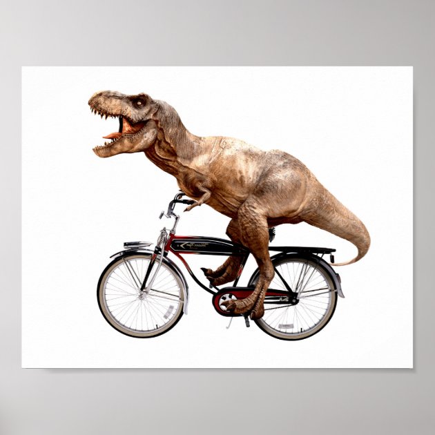 trex bike fit