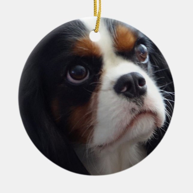 Tri-Color Cavalier Ceramic Ornament (Front)