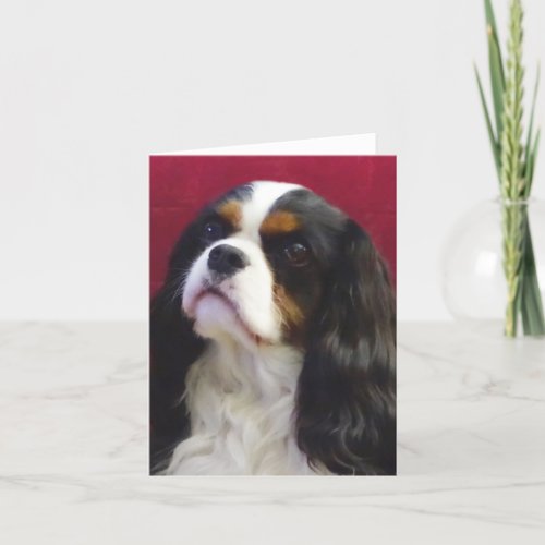 Tri_Color Cavalier King Charles Blank Note Card