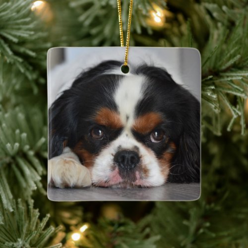 Tri Color Cavalier King Charles Dog Ceramic Ornament