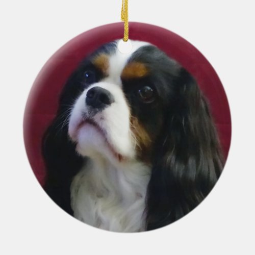 Tri_Color Cavalier King Charles Ornament