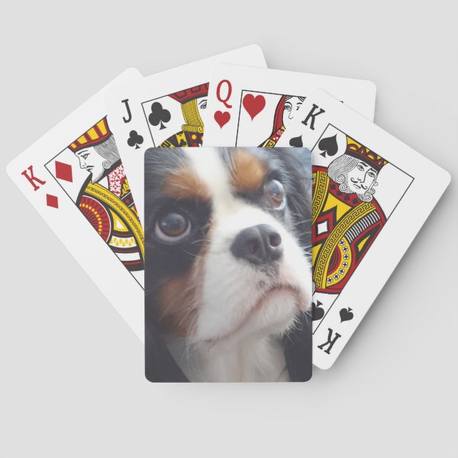 Tri-Color Cavalier King Charles Playing Cards (Back)