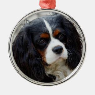 Tri Color Cavalier King Charles Spaniel Ceramic Or Metal Ornament