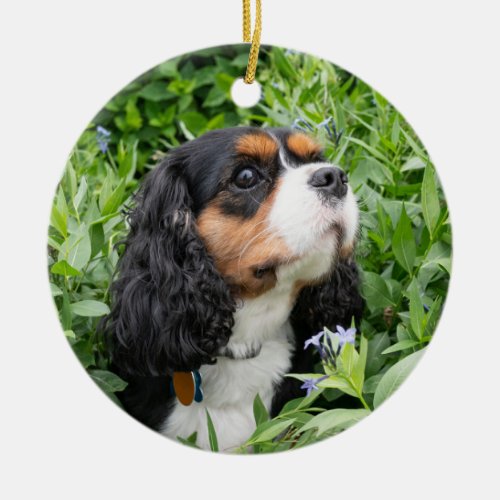 Tri Color Cavalier King Charles Spaniel Ceramic Ornament