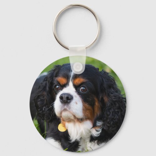 Tri Color Cavalier King Charles Spaniel Dog Keychain