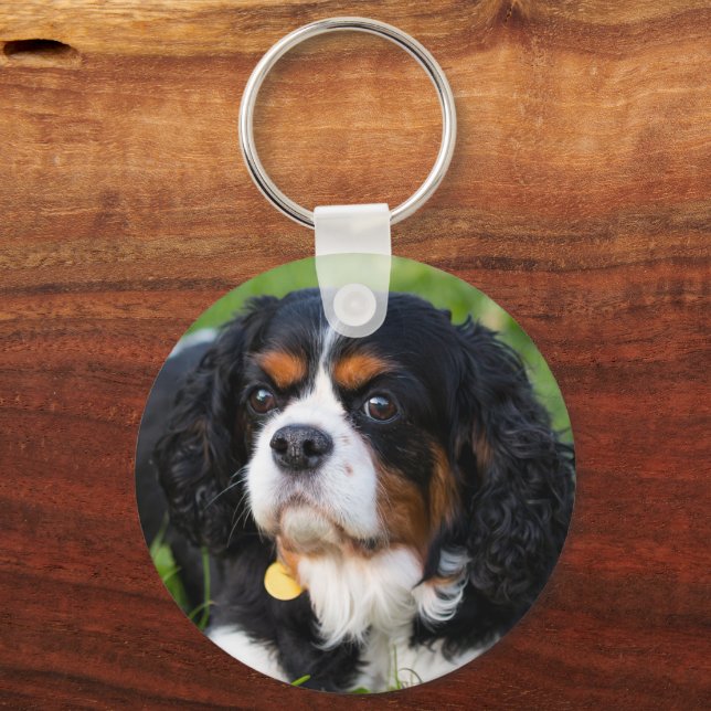 Cavalier king charles keychain discount