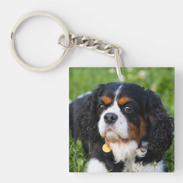 Tri Color Cavalier King Charles Spaniel Dog Keychain (Front)