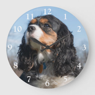 Tri Color Cavalier King Charles Spaniel Dog Large Clock