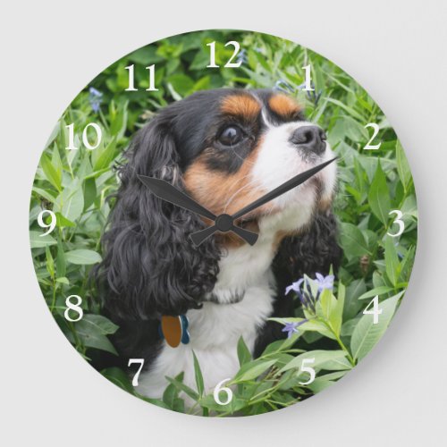 Tri Color Cavalier King Charles Spaniel Dog Large Clock