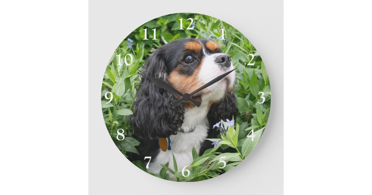 Cavalier King Charles Spaniel Clock - Tri Cavalier King Charles Spaniel Clock - Tri