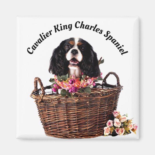 Tri Color Cavalier King Charles Spaniel Dog Magnet (Front)