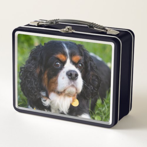 Tri Color Cavalier King Charles Spaniel Dog Metal Lunch Box