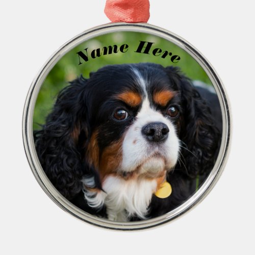 Tri Color Cavalier King Charles Spaniel Dog Metal Ornament