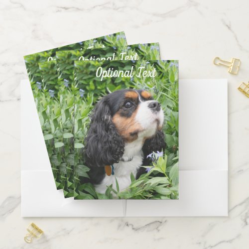 Tri Color Cavalier King Charles Spaniel Dog Pocket Folder