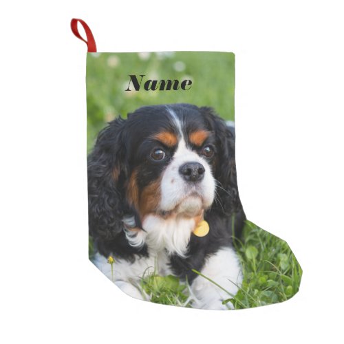 Tri Color Cavalier King Charles Spaniel Dog Small Christmas Stocking