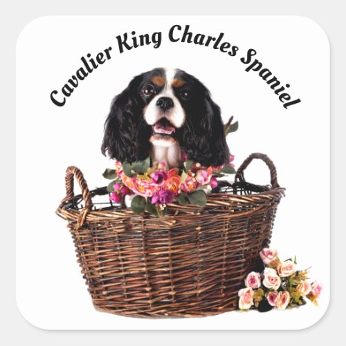 Tri Color Cavalier King Charles Spaniel Dog Square Sticker