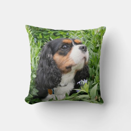 Tri Color Cavalier King Charles Spaniel Dog  Throw Pillow