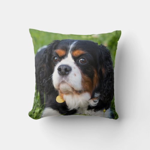 Tri Color Cavalier King Charles Spaniel Dog Throw Pillow