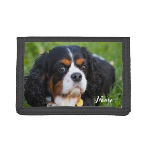 Tri Color Cavalier King Charles Spaniel Dog Trifold Wallet