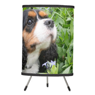 Tri Color Cavalier King Charles Spaniel Dog Tripod Lamp