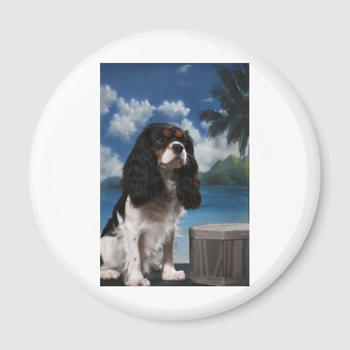 Tri color Cavalier King Charles Spaniel Magnet