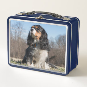 Tri Color Cavalier King Charles Spaniel Metal Lunch Box