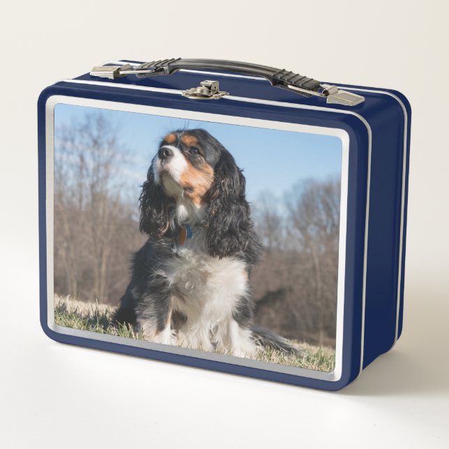 Tri Color Cavalier King Charles Spaniel Metal Lunch Box (Front)