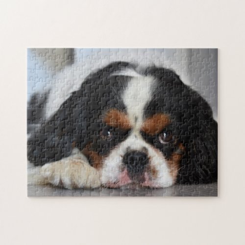Tri Color Cavalier King Charles Spaniel Puppy Dog Jigsaw Puzzle